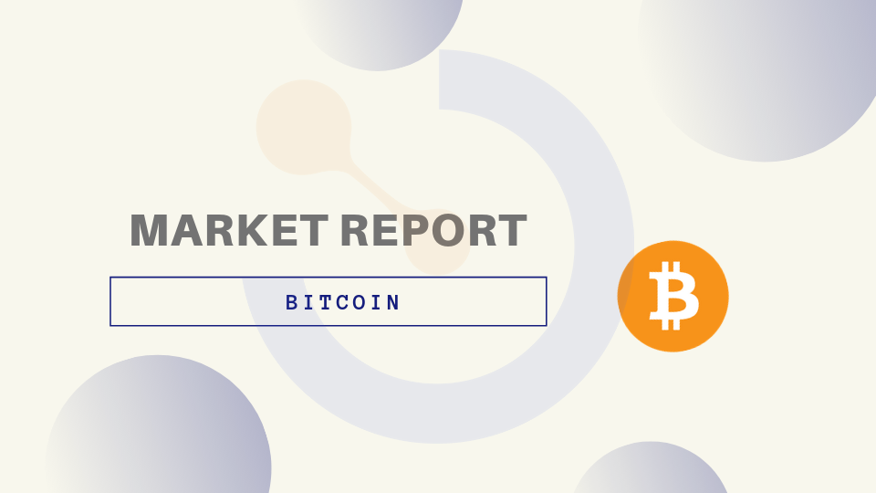 Bitcoin Market Report: Institutional Investors On the Driving Seat of Bitcoin Price Rally